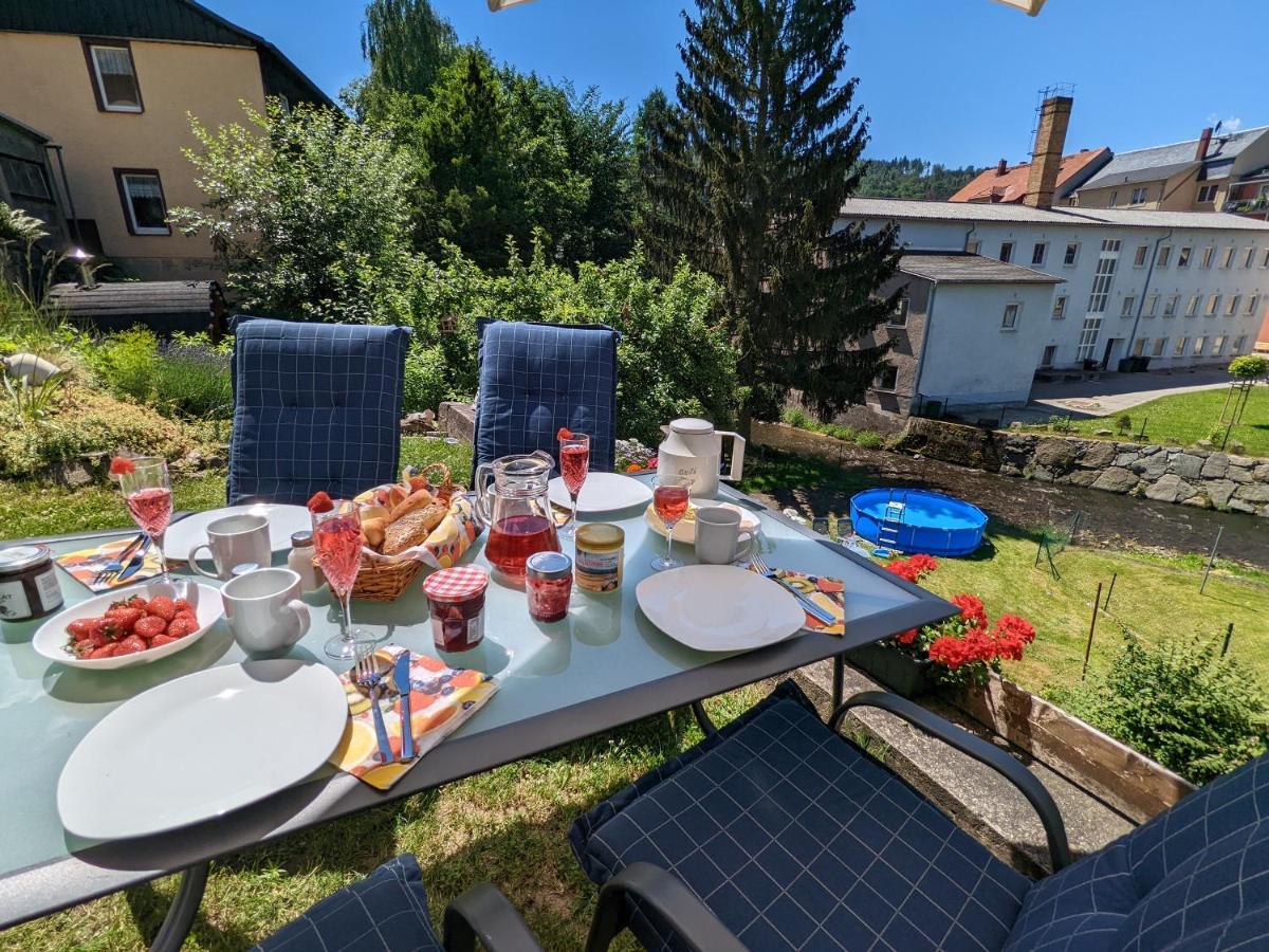 Urlaubstraum Mit Pool, Terrasse & Fluss Im Garten - Ut Apartment Sebnitz Ngoại thất bức ảnh